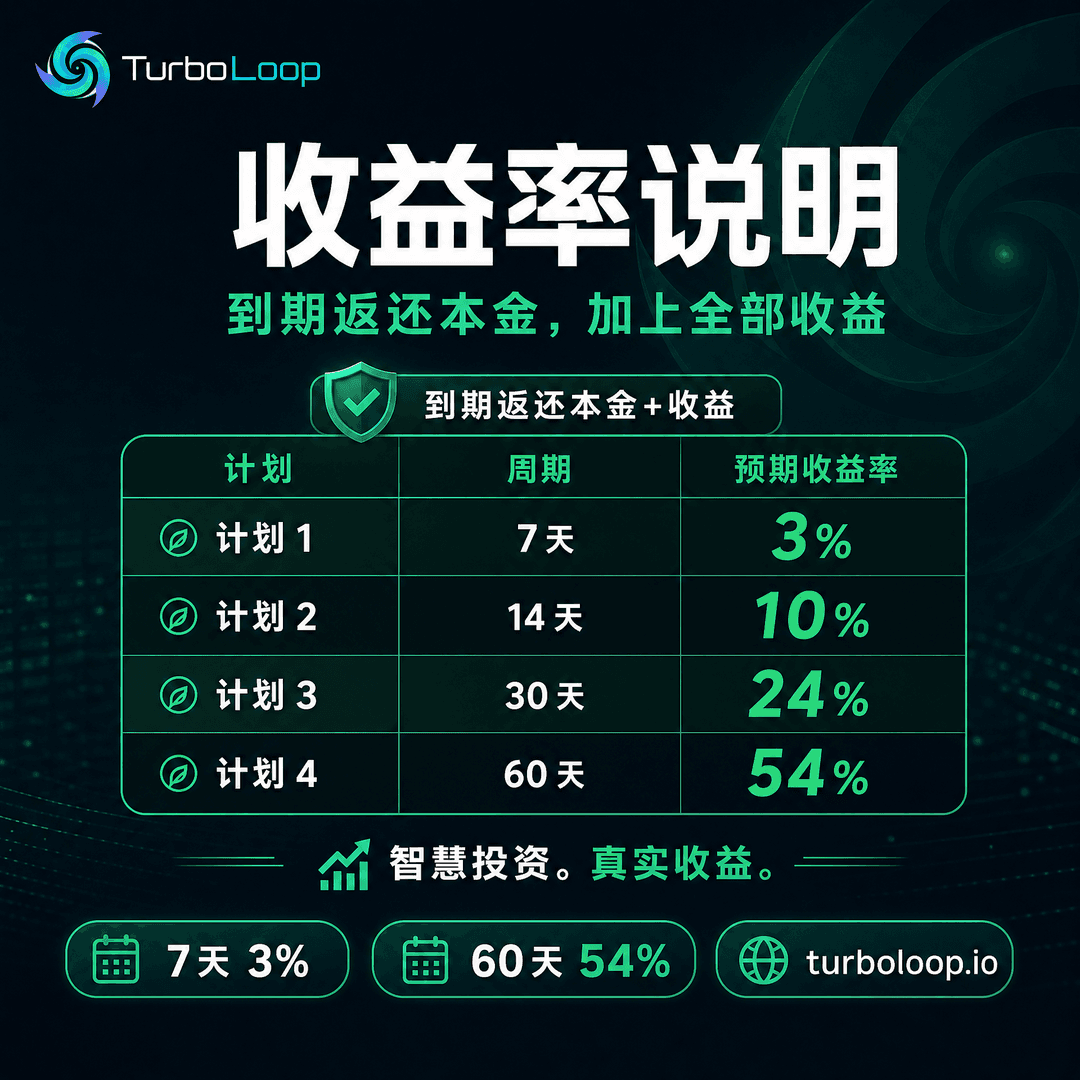 ROI Jieshao — TurboLoop Chinese Banner