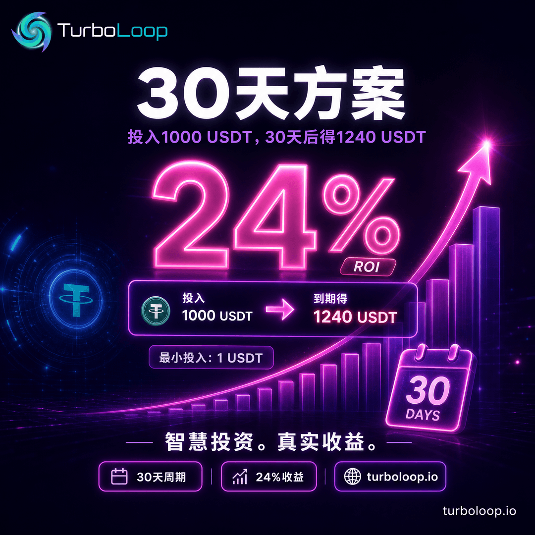 Plan3 30Tian — TurboLoop Chinese Banner