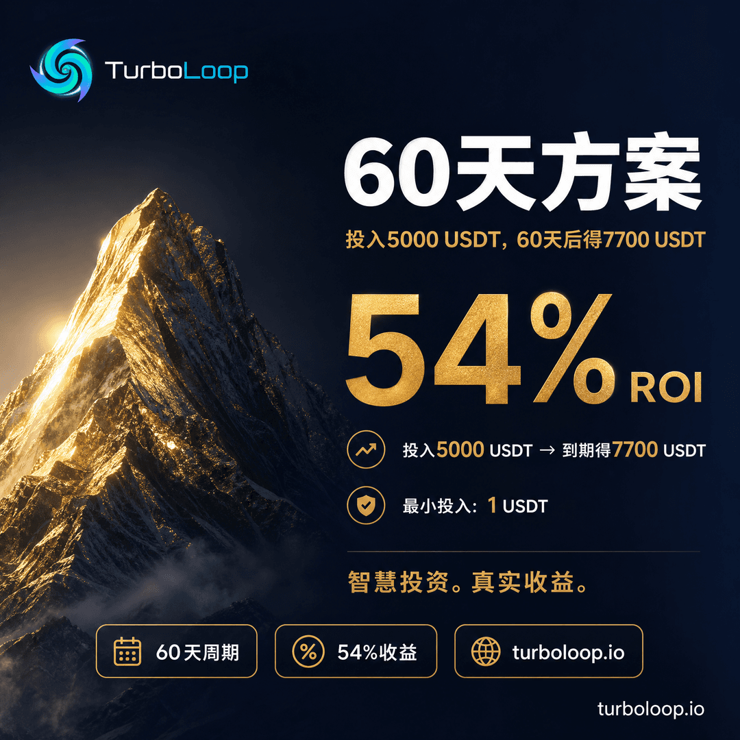 Plan4 60Tian — TurboLoop Chinese Banner
